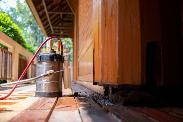 Best Best Pest Control Companies  in Louisa, KY