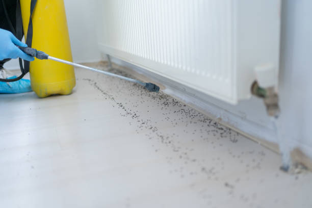 Best Exterminator Services  in Louisa, KY