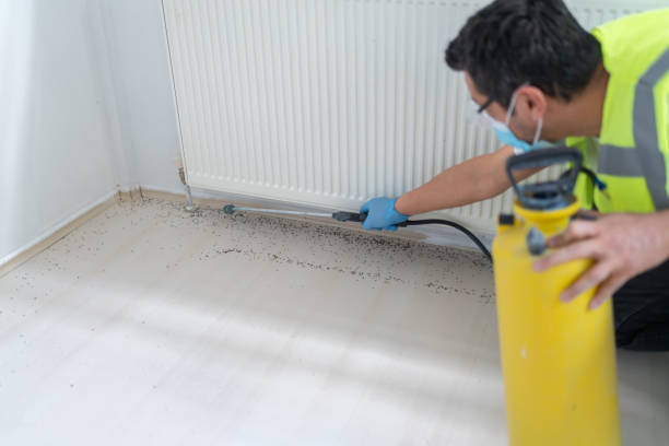 Reliable Louisa, KY Pest Control Solutions